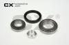 CX CX035L Wheel Bearing Kit