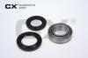 CX CX054 Wheel Bearing Kit