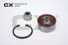 CX CX070 Wheel Bearing Kit