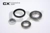 CX CX073 Wheel Bearing Kit