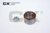 CX CX080 Wheel Bearing Kit