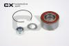 CX CX101 Wheel Bearing Kit