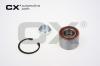 CX CX103 Wheel Bearing Kit