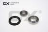 CX CX106 Wheel Bearing Kit