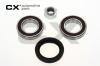 CX CX110 Wheel Bearing Kit