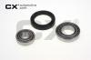 CX CX130 Wheel Bearing Kit