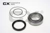 CX CX159 Wheel Bearing Kit