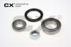 CX CX163 Wheel Bearing Kit