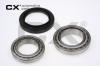 CX CX171 Wheel Bearing Kit