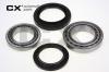 CX CX179 Wheel Bearing Kit