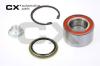 CX CX201 Wheel Bearing Kit