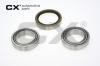 CX CX210 Wheel Bearing Kit