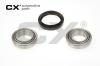 CX CX218 Wheel Bearing Kit