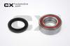 CX CX255 Wheel Bearing Kit