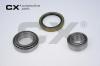 CX CX412 Wheel Bearing Kit