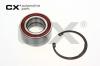 CX CX416 Wheel Bearing Kit
