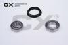 CX CX430 Wheel Bearing Kit