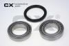 CX CX489 Wheel Bearing Kit