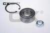 CX CX519 Wheel Bearing Kit