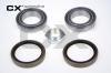 CX CX565 Wheel Bearing Kit