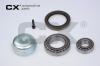 CX CX692 Wheel Bearing Kit