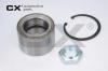 CX CX817 Wheel Bearing Kit