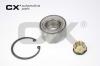 CX CX971 Wheel Bearing Kit