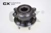 CX CX979 Wheel Bearing Kit