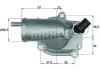 BEHR 242187355 Thermostat, coolant