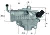 BEHR 242987355 Thermostat, coolant