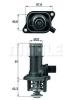 BEHR 177301500 Thermostat, coolant