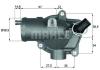 BEHR 243692355 Thermostat, coolant