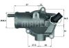 BEHR 244592355 Thermostat, coolant
