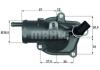 BEHR THERMOT-TRONIK 2.451.87.355 (245187355) Thermostat, coolant