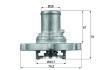 BEHR C.785.87 (C78587) Thermostat, coolant