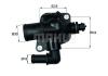 BEHR TI15088 Thermostat, coolant