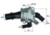 BEHR G85288 Thermostat, coolant