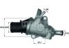 BEHR G86488 Thermostat, coolant