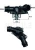 BEHR 256101 Thermostat, coolant
