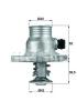 BEHR 254603 Thermostat, coolant