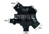 BEHR THERMOT-TRONIK 2.562.02 (256202) Thermostat, coolant