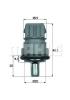 BEHR 850701366 Sensor, coolant temperature