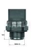 BEHR TSW33 Temperature Switch, radiator fan