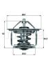 BEHR 206080304 Thermostat, coolant
