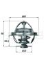 BEHR 208780300 Thermostat, coolant