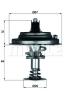 BEHR THERMOT-TRONIK 2.118.80.316 (211880316) Thermostat, coolant