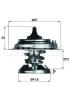 BEHR THERMOT-TRONIK 2.136.80.319 (213680319) Thermostat, coolant