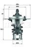 BEHR 633382 Thermostat, coolant