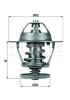 BEHR 670188360 Thermostat, coolant