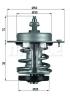 BEHR 633579 Thermostat, coolant